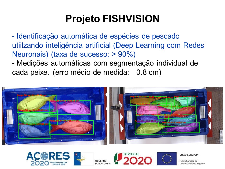Fishvision